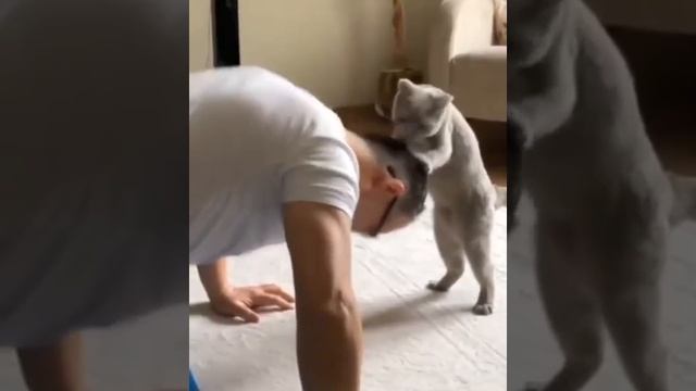 Был у меня такой кот…, ну вы поняли