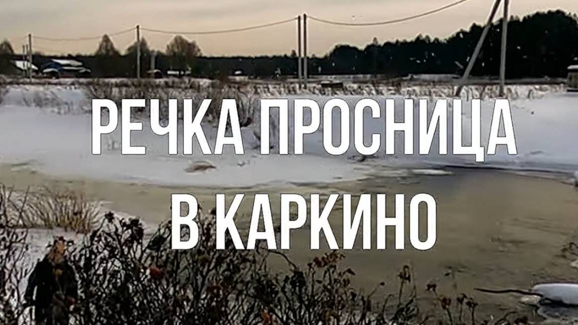 река Просница в Каркино. К.-Чепецкий район. Вятка.