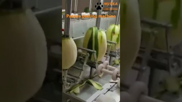 Мурка FX Станок для очистки кожуры авокадо купить на  pilam.ru