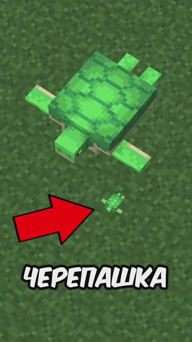 Самый маленький моб в майнкрафт