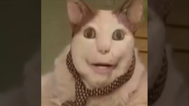 1000012112.mp4