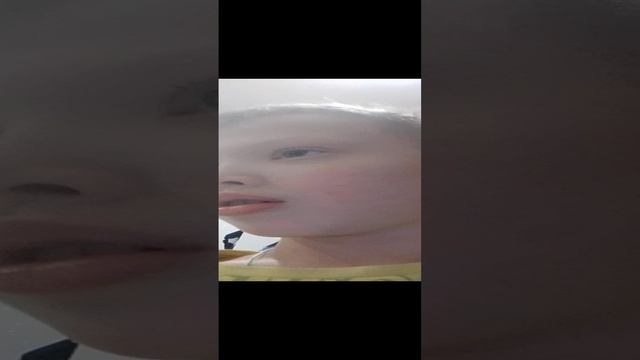 VID_20241117_153509.mp4