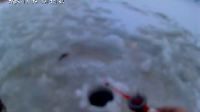 рыбалка по первому льду 2024