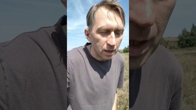Про Медведицкую гряду