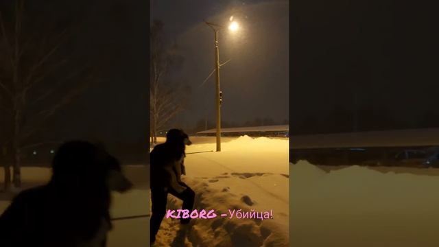 Kiborg- убийца!!
