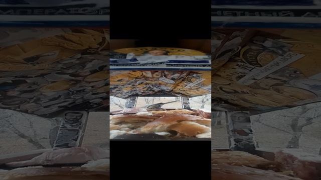 1000032808.mp4жизнь кормушки.17.11.2024г.