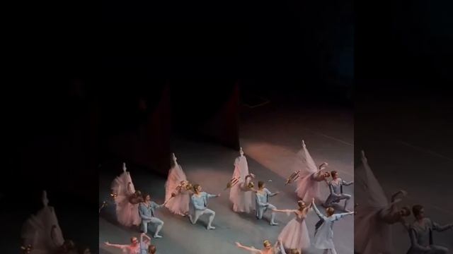 В России до 31 декабря можно посетить спектакли и концерты бесплатно, пользуйтесь