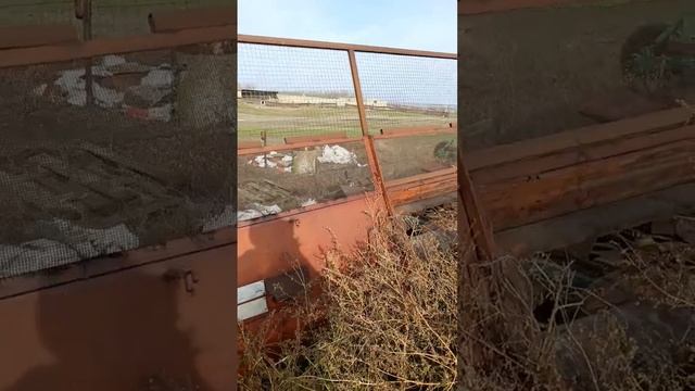 Жатка УПП-8, для уборки подсолнечника от Руслана