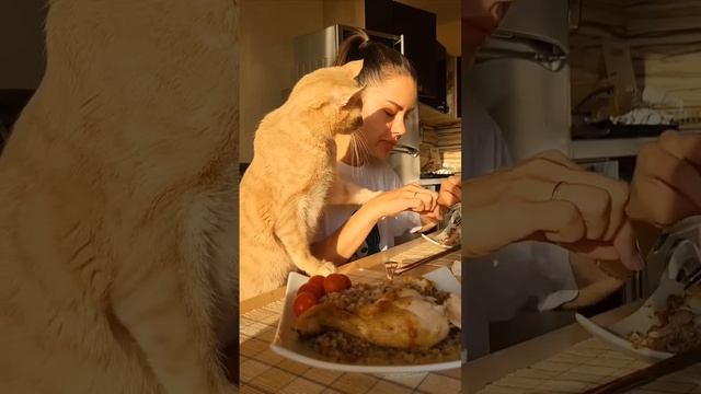 Любовь 🫶