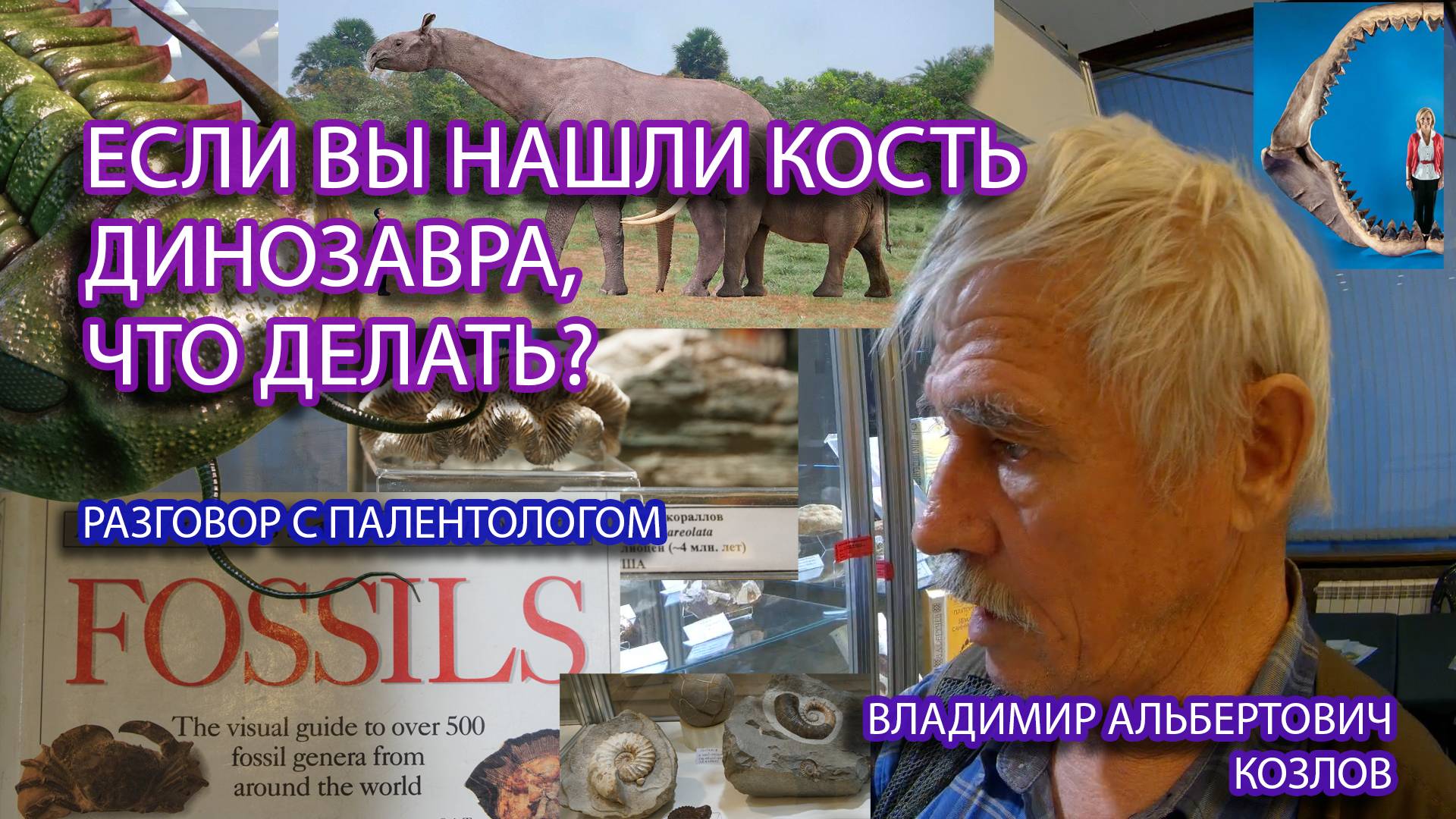 Один раз в год в ноябре вспоминают динозавров на Урале
