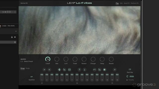 10. Leap: Interface at Glance