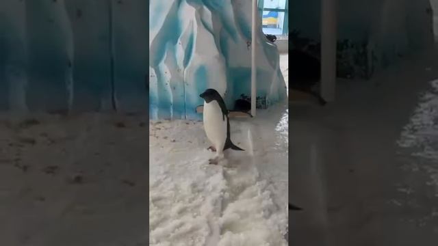 Скоро на всех улицах страны
