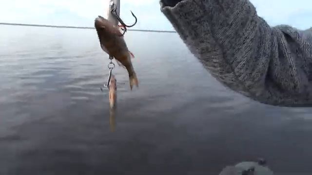 Приколы на рыбалке. Зацеп.