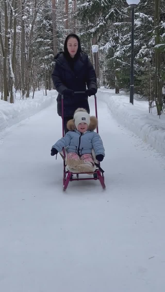 Сказочный лес 🌳