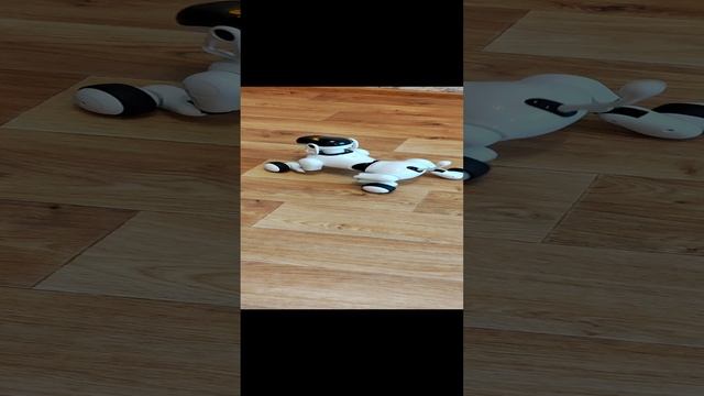 1000052161.mp4
