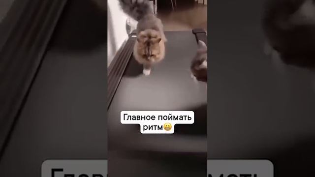 Never give up!
