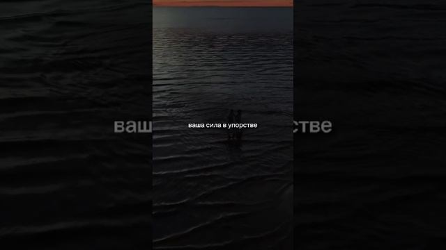1000022837.mp4