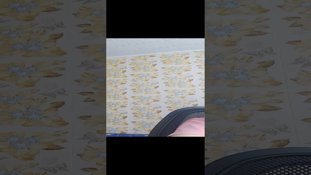 утренний влог