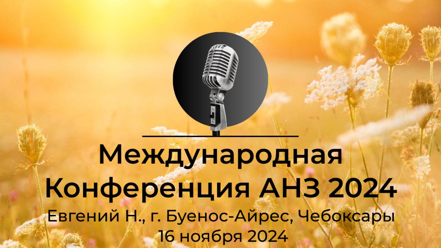 "Международная Конференция АНЗ 2024" Евгений Н., г. Буенос-Айрес, Чебоксары, 16 ноября 2024 года