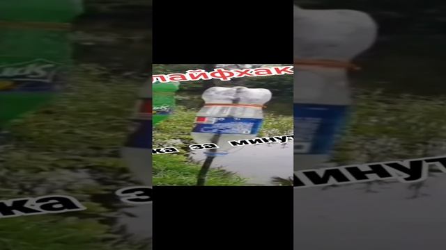 composed_video_20241104_080752215.mp4