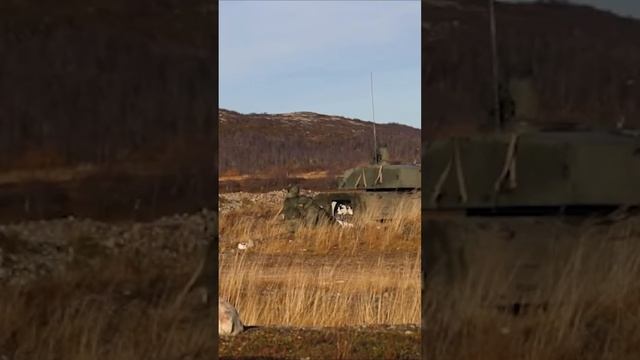 пальнули из установки Гвоздика