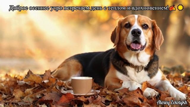 Доброе осеннее утро! 🍁✨ Пусть этот день принесет вам радость и вдохновение.