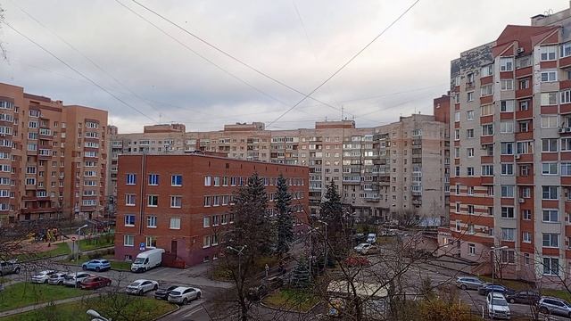 17.11.2024 . Погода Петербург . 12:58 . +7°