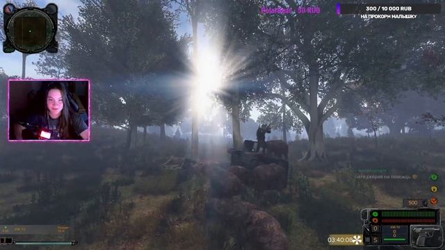 Атака медведей! | DayZ Сервер Wish Maker STALKER | PVE | RU EU