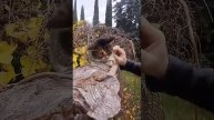 1000064184.mp4
