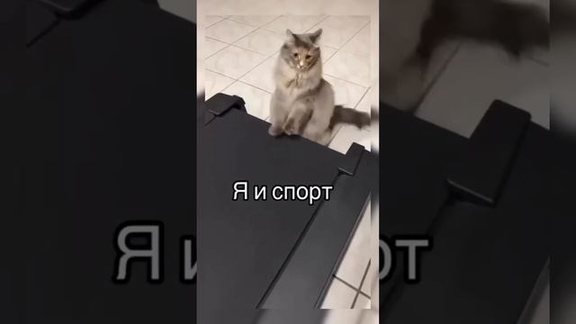 Я и Спорт