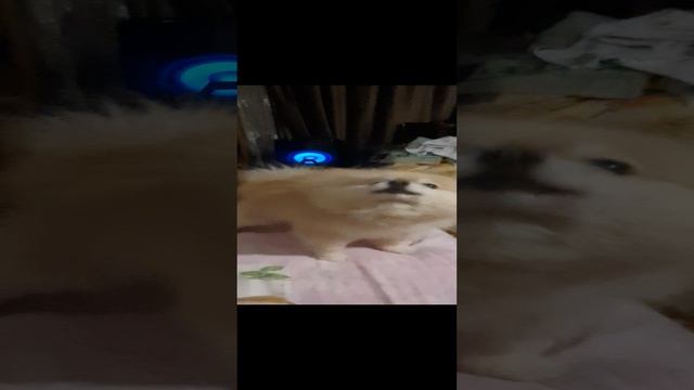 1000028019.mp4