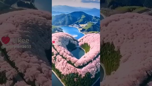 Красота