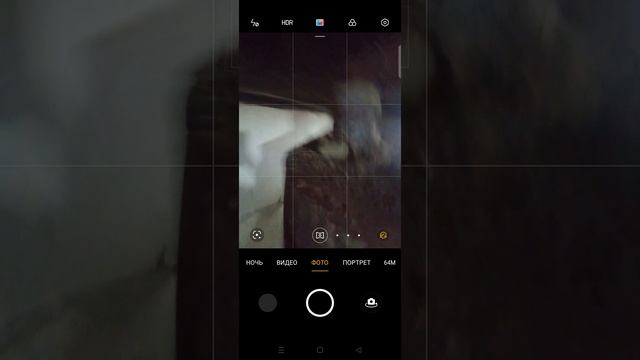 Обзор на моего котёнка Сёму:3