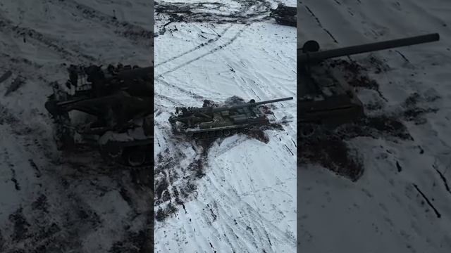 самая большая сау