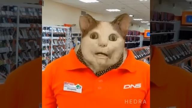 бу испугался я консутальт