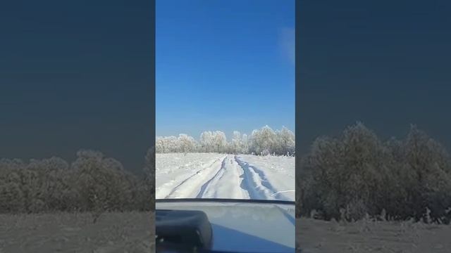 Мороз и Солнце ❄/🌞