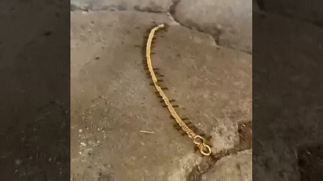 У них матка из табора чтоль?