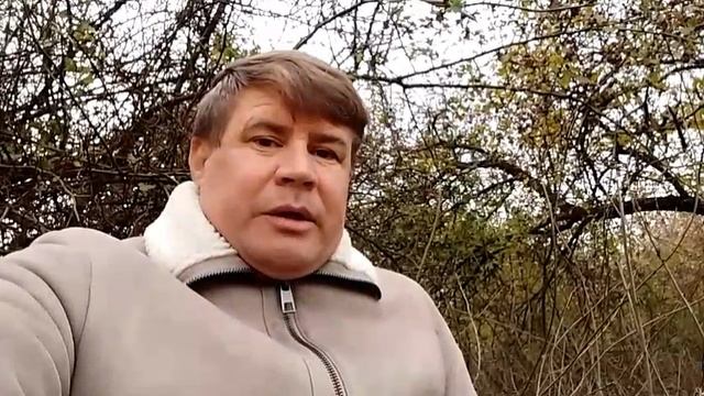 Конституция фсё.