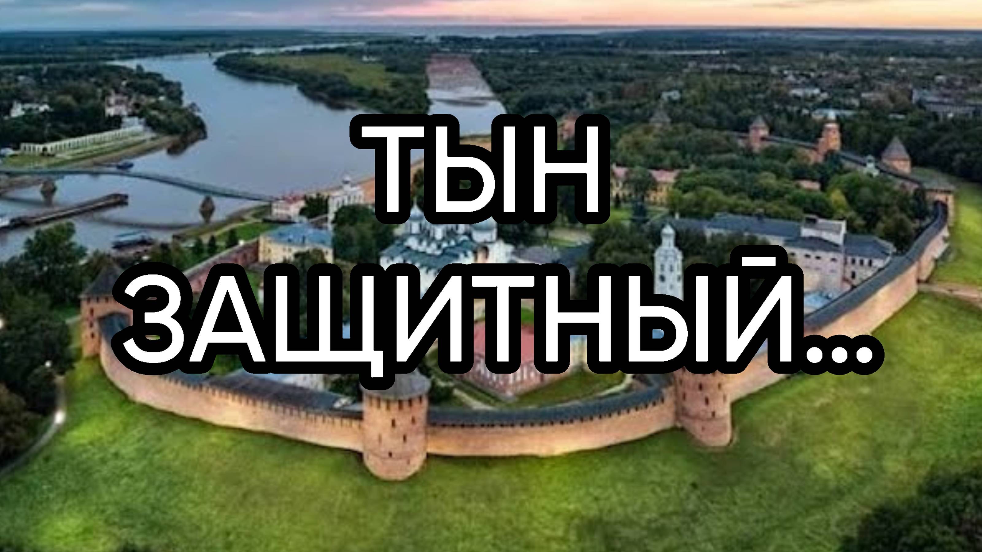 ТЫН ЗАЩИТНЫЙ…ДЛЯ ВСЕХ…