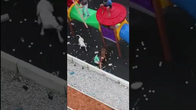 Ma vidéo1