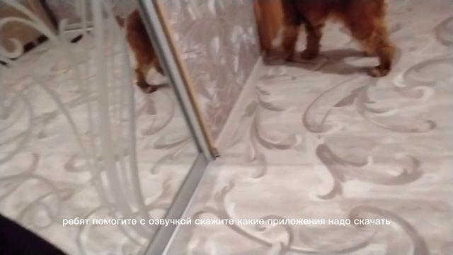 1000002256.mp4
