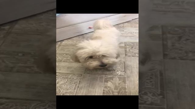 75355780960__77D47FBB-C81B-46E5-8753-1E5AC4730449