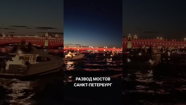 Приятное путешествие в Петербург