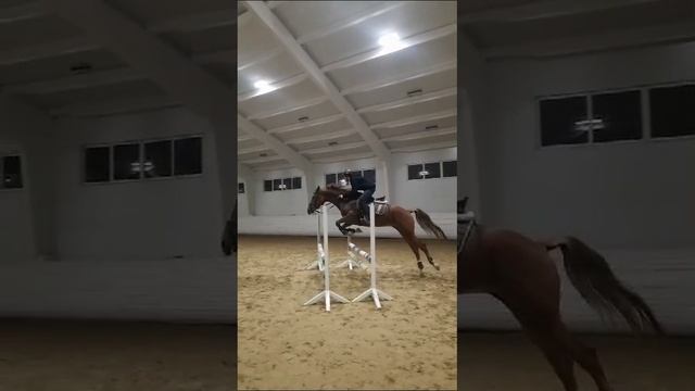 Прыжок лошади, конкур, замедленная съемка.