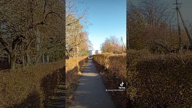 1000051122.mp4