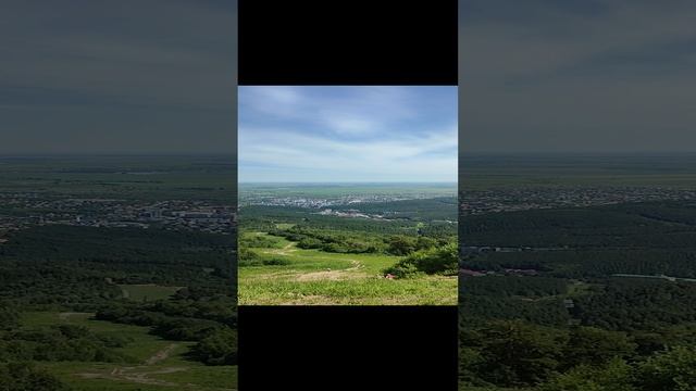 40520.mp4