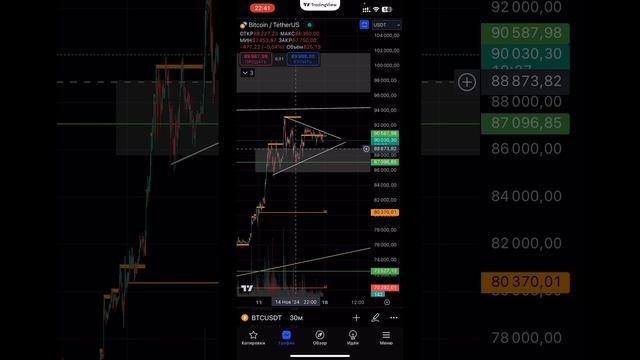 ТЕХ АНАЛИЗ #BTC ЗА 1 МИН 17.11.2024 #инвестиции #btc2024 #биткоин2024 #акции #btcпрогноз #bitcoin