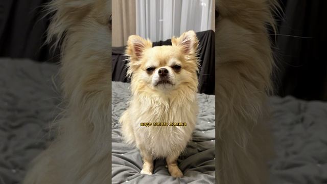 Мои экзистенциальные размышления каждый вечер перед сном