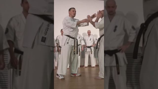 Кёкусинкай / Сихан Алексей Горохов / Ути хайсоку-гэри (3) / Зимняя Школа ФКР-2020