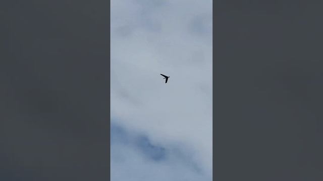 запуск дрона-разведчика